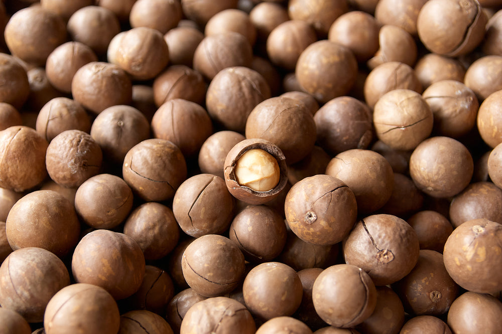 Macadamia Nuts